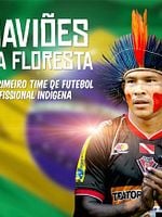 Pôster de Gaviões da Floresta