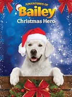 Pôster de Uma Aventura no Natal