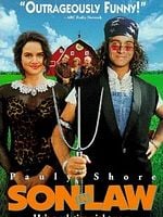 Pôster de O Genro dos Meus Sonhos