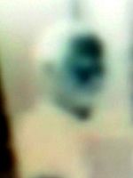 Pôster de Aquilo que Fazemos com as Nossas Desgraças