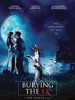 Pôster de Enterrando Minha Ex
