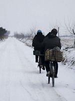 Pôster de Canções do Norte