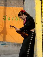 Pôster de Que Caramba é a Vida