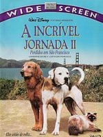 Pôster de A Incrível Jornada 2 - Perdidos em São Francisco