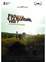 Pôster de A Floresta é como as Montanhas