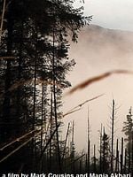 Pôster de A Vida Pode Ser