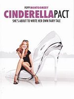 Pôster de Mentira Perfeita