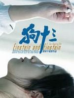 Pôster de Einstein e Einstein