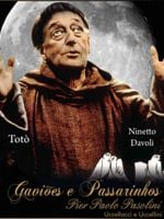 Pôster de Gaviões e Passarinhos