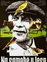 Pôster de Chácara Perto do Bosque