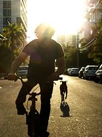 Pôster de The Strongest Man