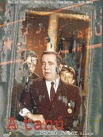 Pôster de A Testemunha