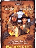 Pôster de Dois Contra o Oeste