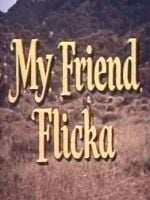 imagem de My Friend Flicka