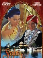 Pôster de O Sepulcro Indiano