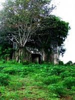 Pôster de A França é a Nossa Pátria