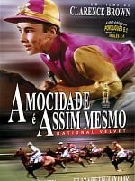 Pôster de A Mocidade é Assim Mesmo