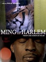 Pôster de Ming of Harlem: Twenty One Storeys in the Air