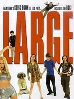 Pôster de Large