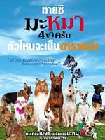 Pôster de Mid Road Gang