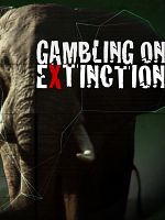 Pôster de O Jogo da Extinção