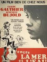 Pôster de Entre o mar e a água doce