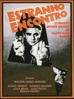 Pôster de Estranho Encontro