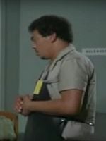 Pôster de Fruto do Amor