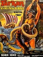 Pôster de Tarkan Vs. The Vikings