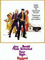 Pôster de 3 Ladrões Desajustados