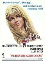 Pôster de Longe Deste Insensato Mundo