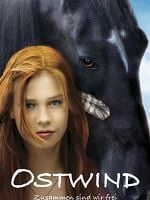 Pôster de Livres Como o Vento