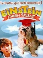 Pôster de Meu Amigo Einstein