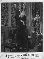 Pôster de A Pensão da D. Estela