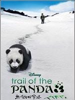 Pôster de Na Trilha do Panda