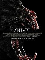 Pôster de Animal