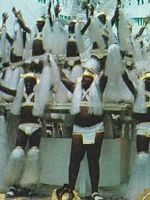 Pôster de O Samba da Criação do Mundo