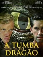 Pôster de A Tumba do Dragão