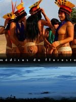 Pôster de Médicos da Floresta