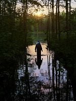 Pôster de The Bear Tales