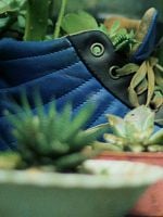 Pôster de Trago seu Amor