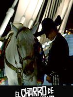 Pôster de El Charro de Toluquilla