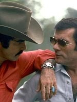 Pôster de The Bandit