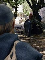 Pôster de O Sonho de Francisco