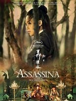 Pôster de A Assassina