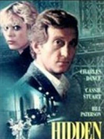 Pôster de Hidden city