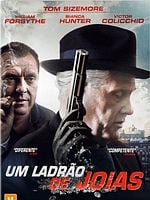 Pôster de Um Ladrão de Jóias