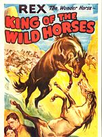 Pôster de O Rei dos Cavalos Selvagens