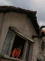 Pôster de Ei, Vizinho!