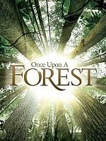 Pôster de Era uma Vez uma Floresta